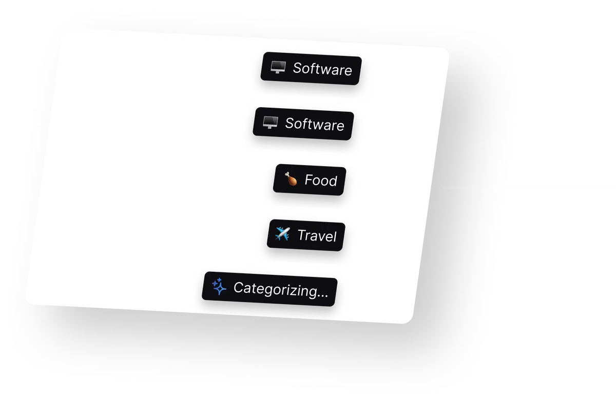 Automatically categorizes your expenses for you